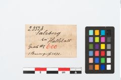Etikett zu Bronzeortband (NHMW-PRAE-025523)
